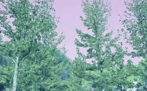 小學三年級描寫春風作文200字