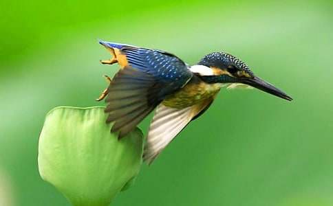 ����Ʒ�����B����300����ƪ