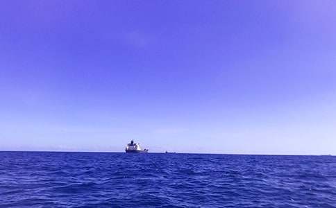 青島大海的作文500