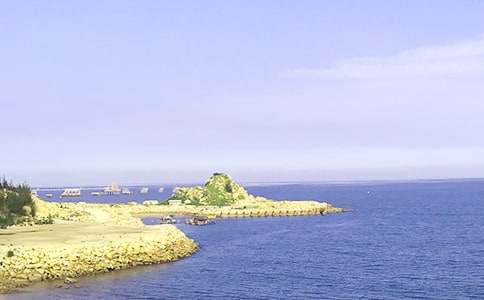 ���˴�����(15ƪ)