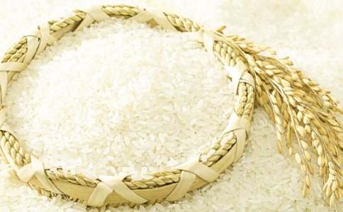 我的大米的作文