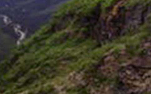 ��ɽ��̎��������