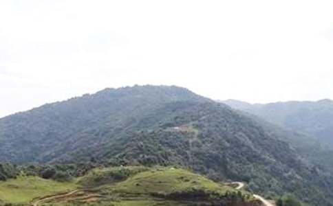 �茑ѩ��Ĵ�ɽ���ģ����x15ƪ��