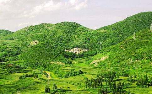 �c��ɽ�ļs����������