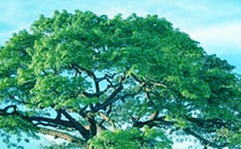 ��ľ�B�ʹ��ͯԒ����10ƪ