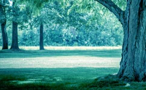 ��������������ģ����x38ƪ��