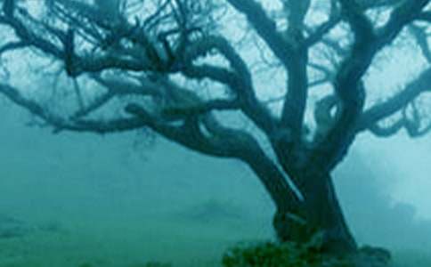 �ְ��Ǵ������