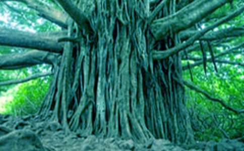 ���x���ķ�I����13ƪ