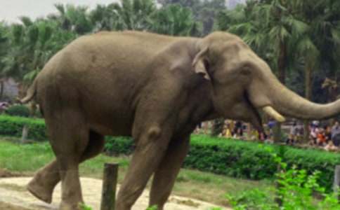 Λρ�ʹ������ģ����x30ƪ��