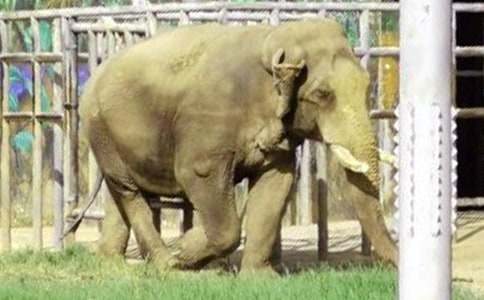 ���x����ͯԒ����300����ƪ