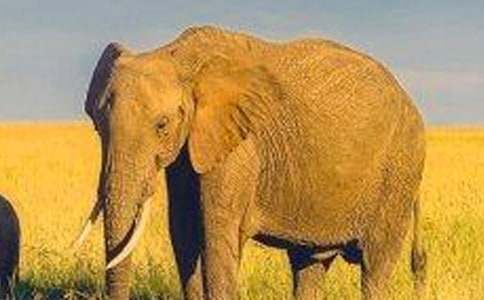 �����x������ͯԒ����38ƪ