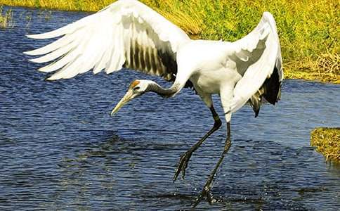 ����Q����400��10ƪ