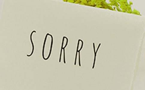 中學生原創作文:給自己一個道歉的機會
