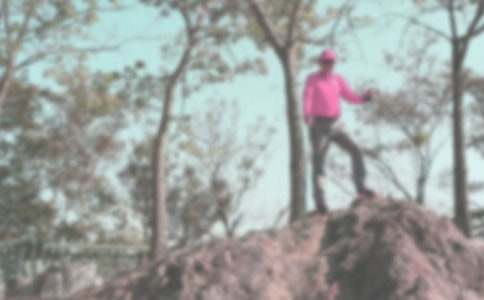 登山的感受作文(通用23篇)