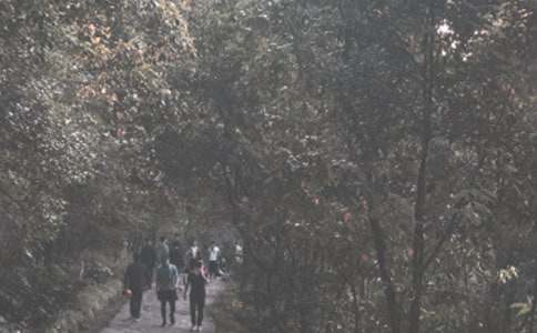 以登山為主題的作文