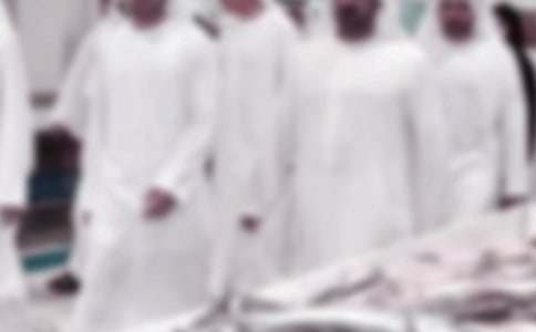 ����_���ٵϰ�������