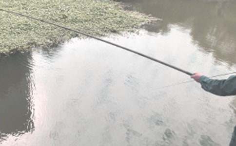 小貓釣魚作文(精選43篇)