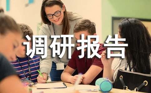 2016關于村精準扶貧調研報告