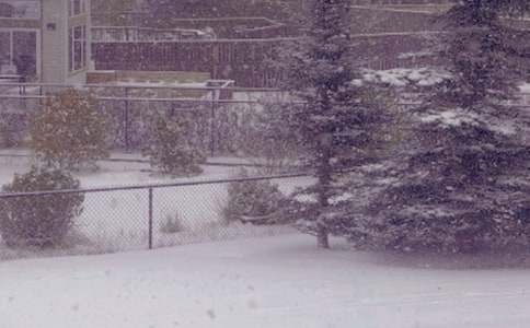 �P�ڶ��յ�ꖹ������5ƪ