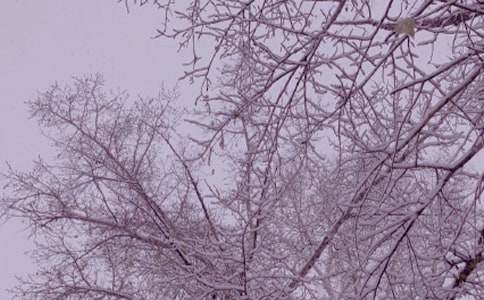 ���ݶ���ůꖵ��~�Z