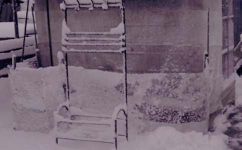 ���������n�����L��������