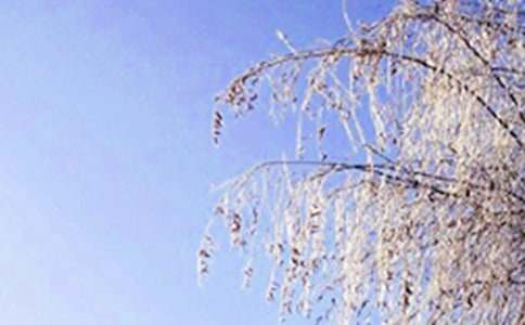 �����ѩ�����ķ�����ƪ