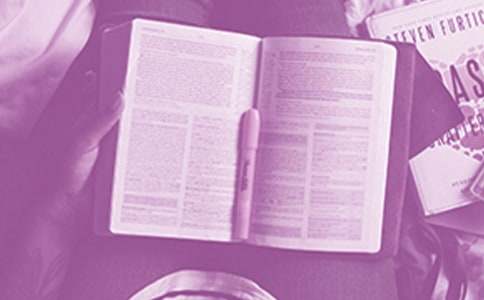 ���������x�������