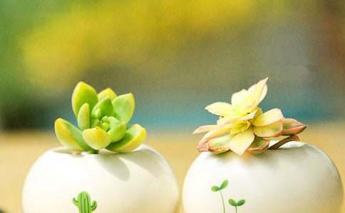 �����^��ӛ����