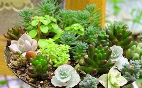 �茑��������Ľ���(15ƪ)