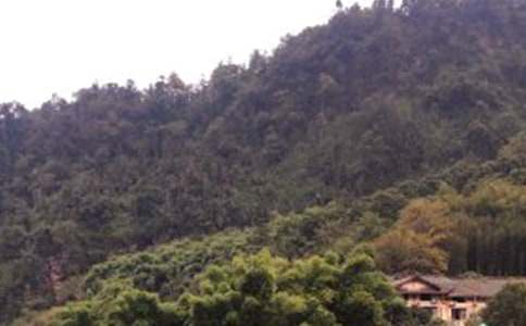 ����üɽ�¸衷�̌W�OӋ