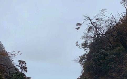 �ζ�üɽ�����ģ�ͨ��10ƪ��