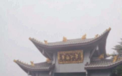 ��üɽ�ĺ�������5ƪ