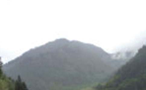 �ζ�üɽ������450��