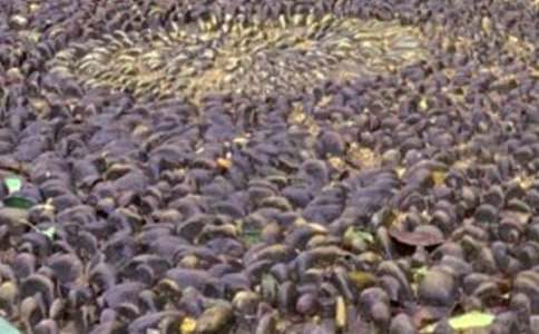 �u�����Z��ʯͯԒ����