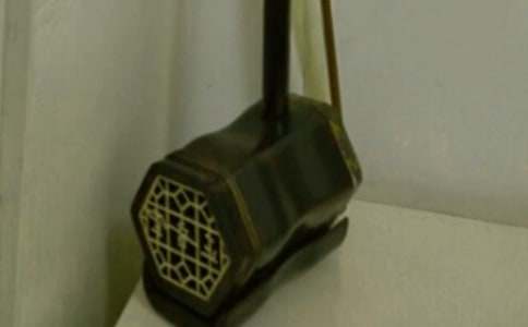 我學會了拉二胡小學作文