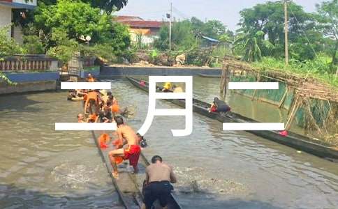 �r�v���¶������ӵ�����