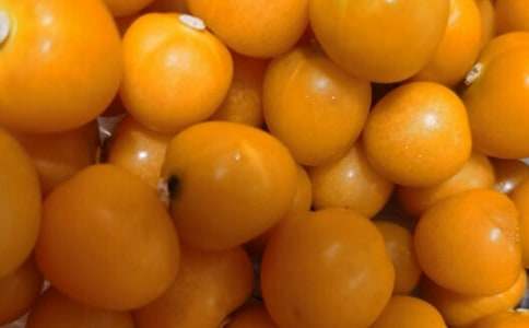 番茄炒蛋500字作文