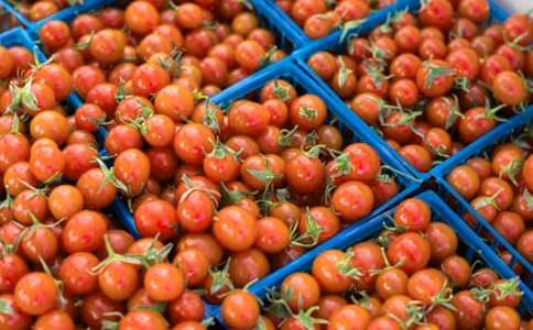 ���ѵ�����