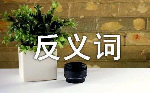 詞語虛偽的反義詞是什么