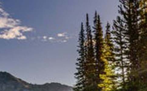 有一種風景叫文明作文(精選22篇)