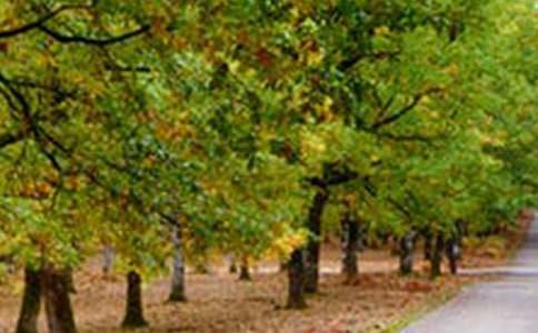 һ·�L�����õ����ģ����x23ƪ��