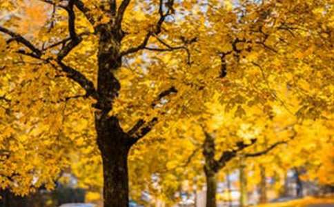 �茑�L���ă�������