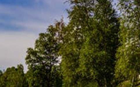 һ���e�ӵ��L������