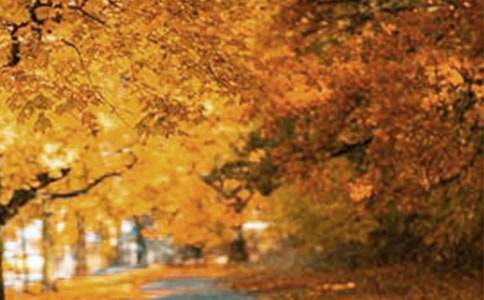 ��Ĩҫ�۵��L�������ģ�ͨ��15ƪ��