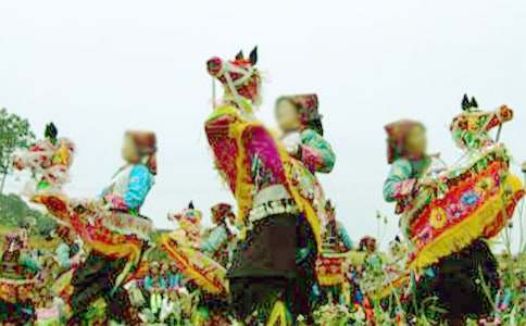 �����������L������