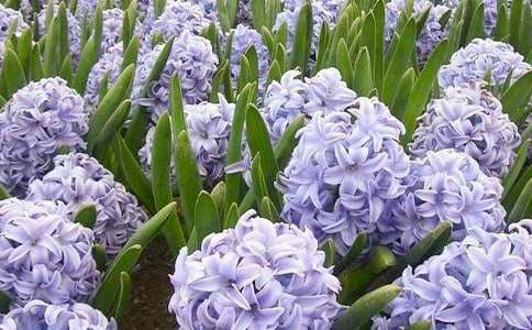 �^���L��������400��