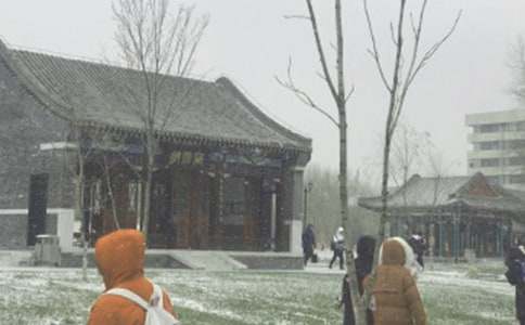 �Lѩ�еĜ�ů����4ƪ