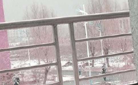 �Lѩ��������