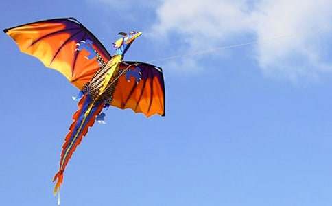 �L�~�c������900��