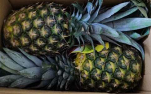 ���P���P�滨�Ļ��Z